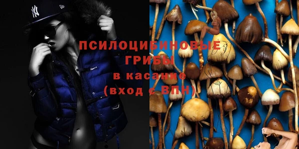 мдпв Белокуриха