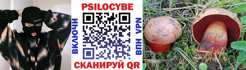 площадка наркотические препараты  Кунгур  Псилоцибиновые грибы MAGIC MUSHROOMS  магазин   